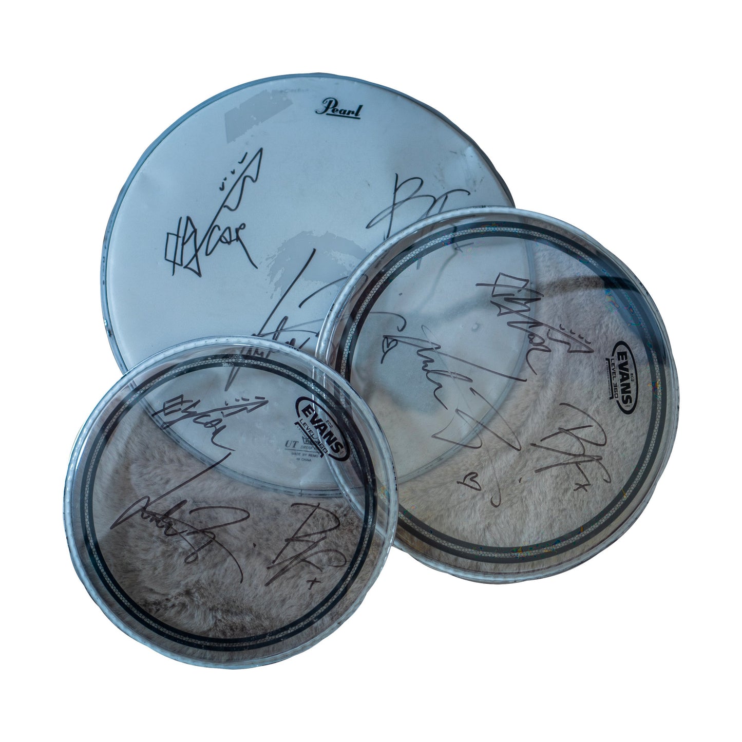 Signed Drum Heads